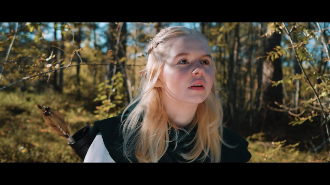 Aerindor: The silent sacrifice backdrop