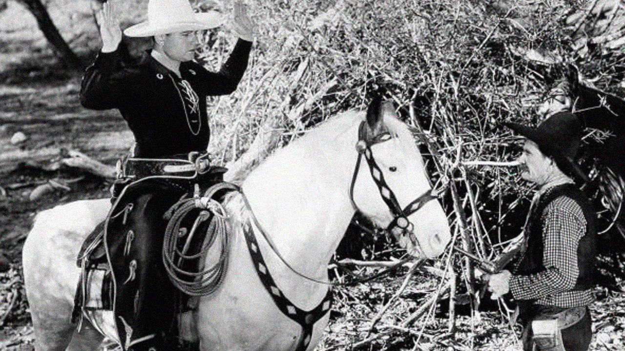 Border Vengeance backdrop