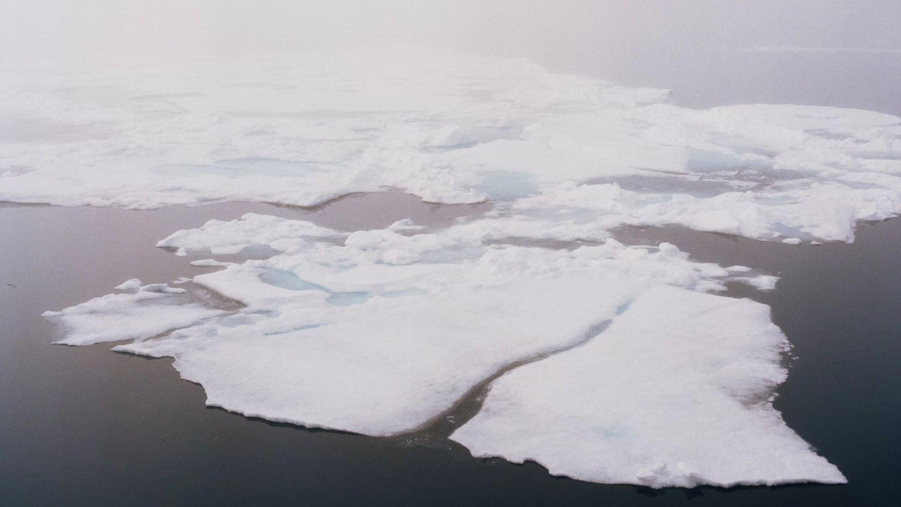 A Map of the World in Time backdrop