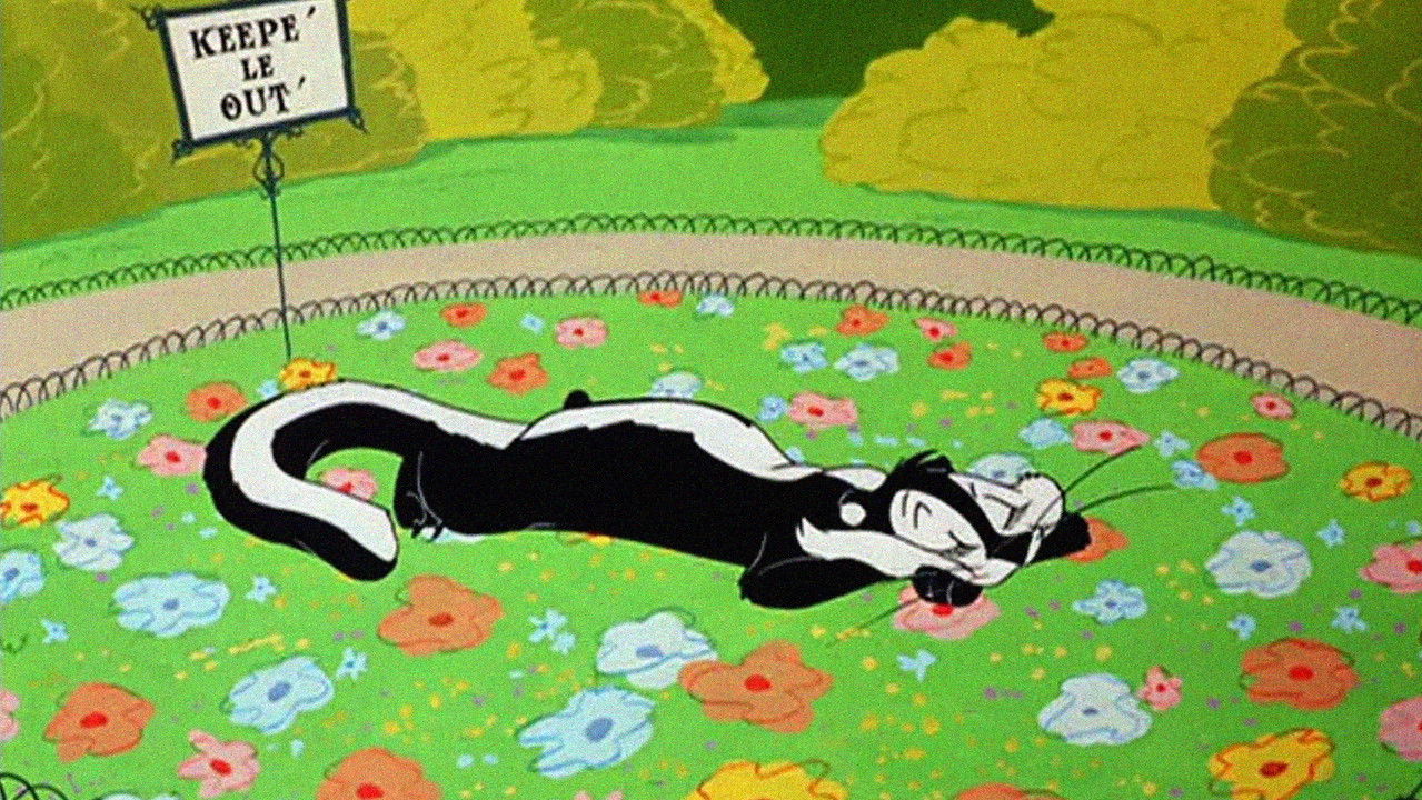 Wild Over You backdrop