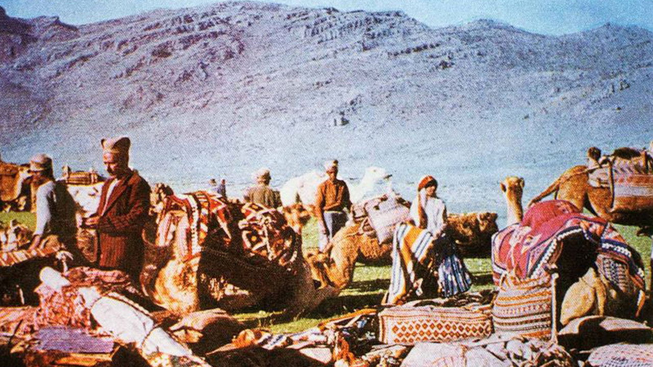 The Kiwi, The Knight and the Qashqai backdrop