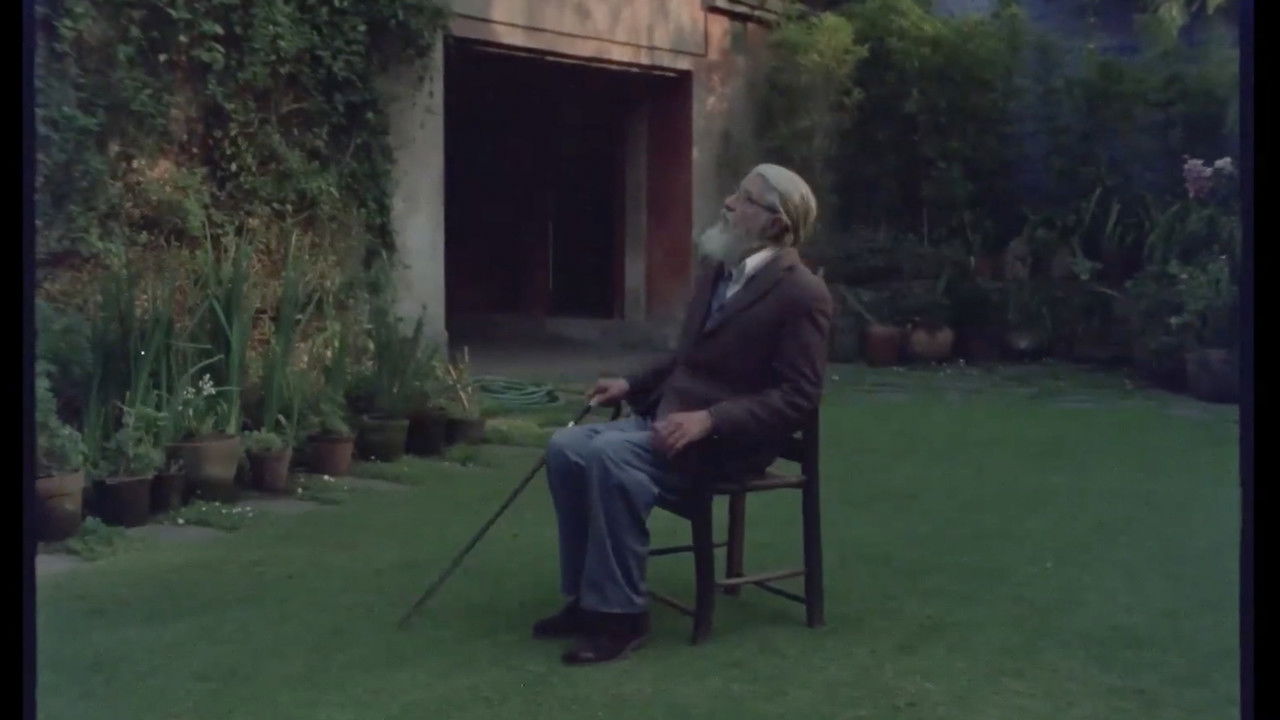 Como una pintura nos iremos borrando backdrop