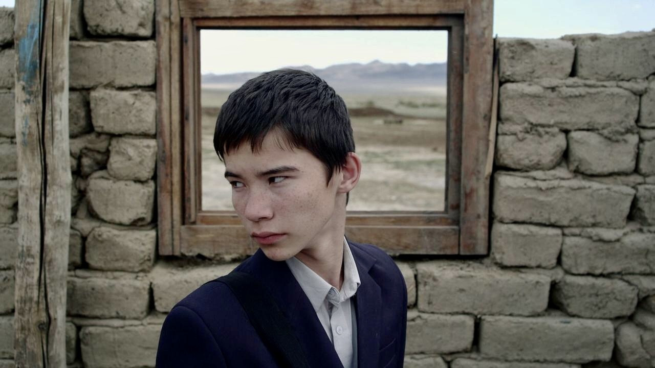 Harmony Lessons backdrop