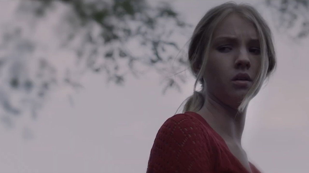 Graduation Afternoon backdrop