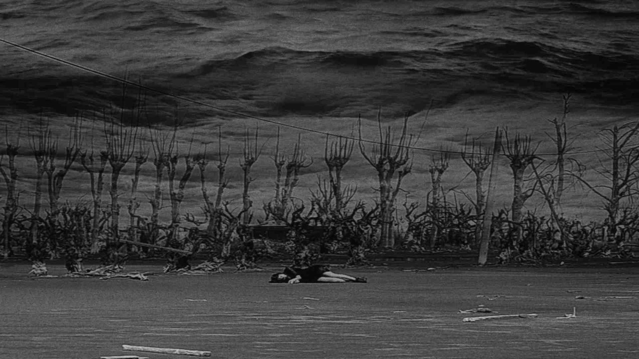 The Monopole Vortex backdrop