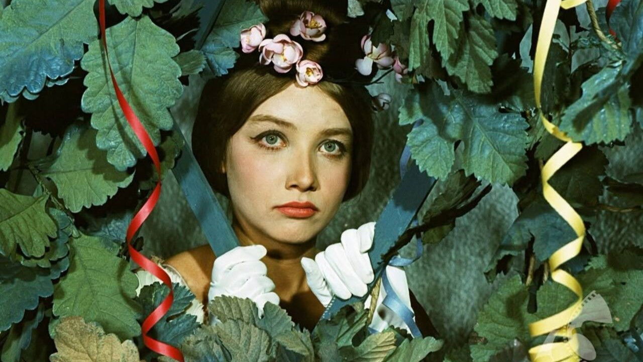 Klub kawalerów backdrop