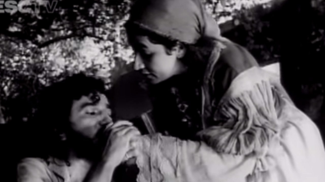 The Misery's Tree backdrop