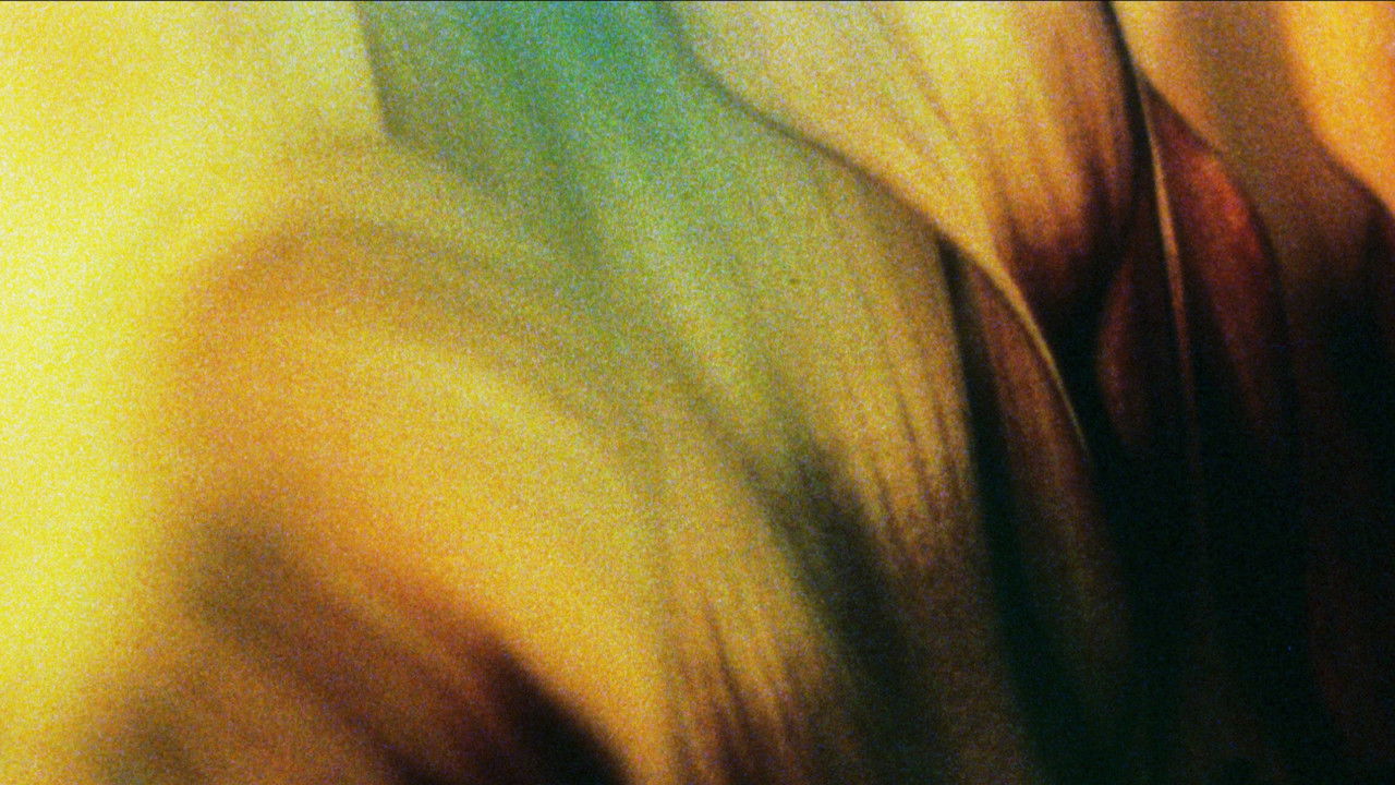 Glide of Transparency backdrop