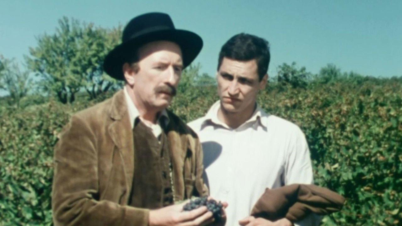 Ces grappes de ma vigne backdrop