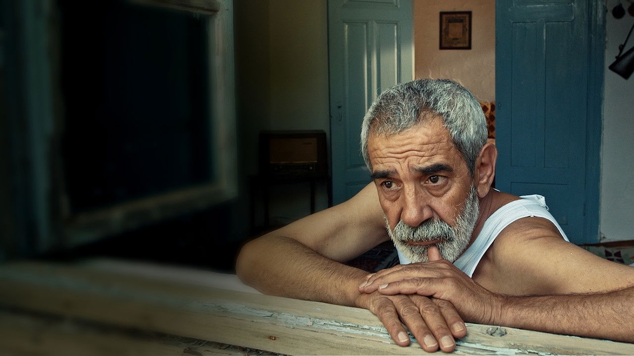 Point of Conscience backdrop