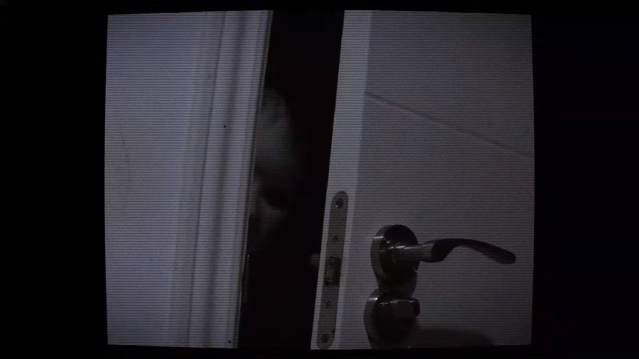 Salen por la noche backdrop