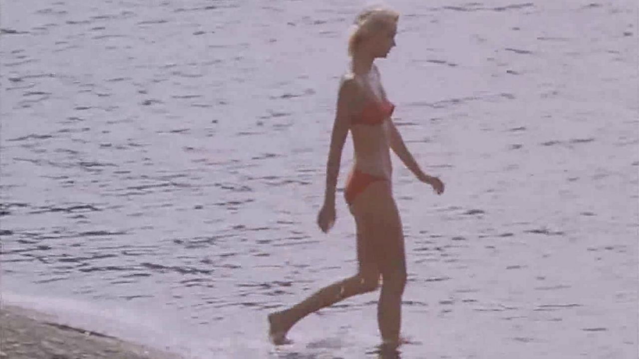 Holidays by the Sea backdrop