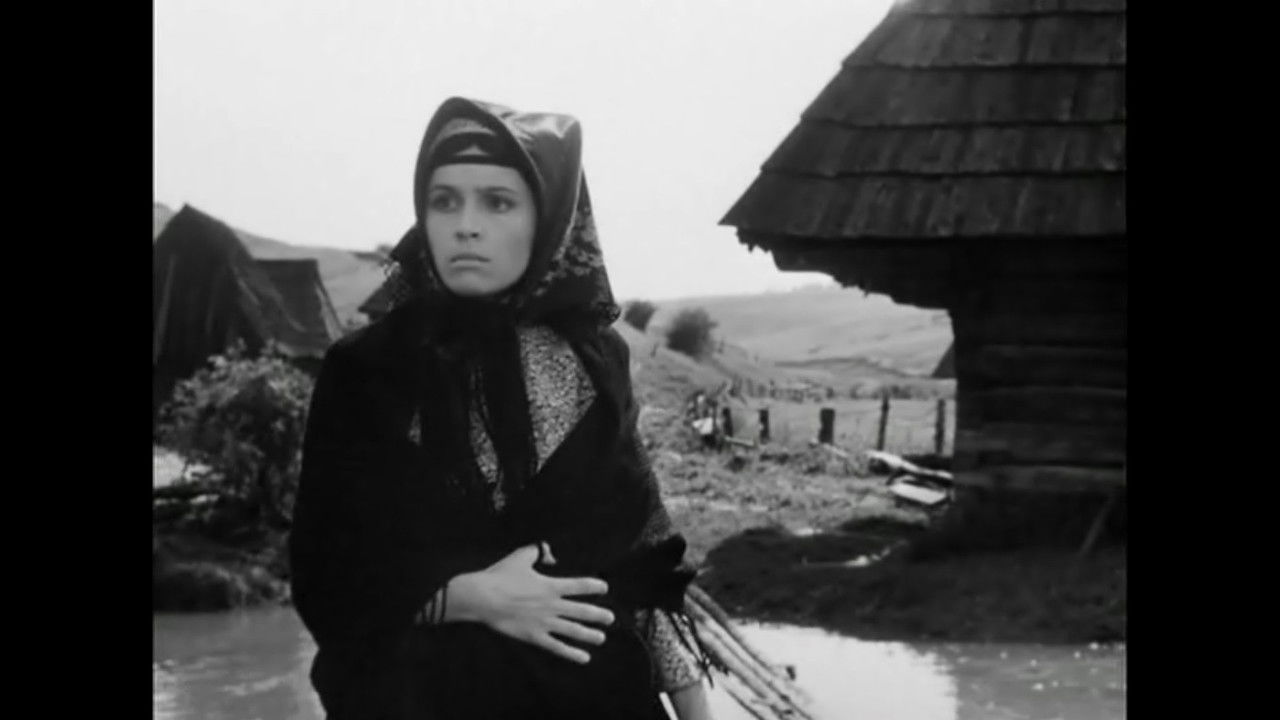 Living Whip backdrop