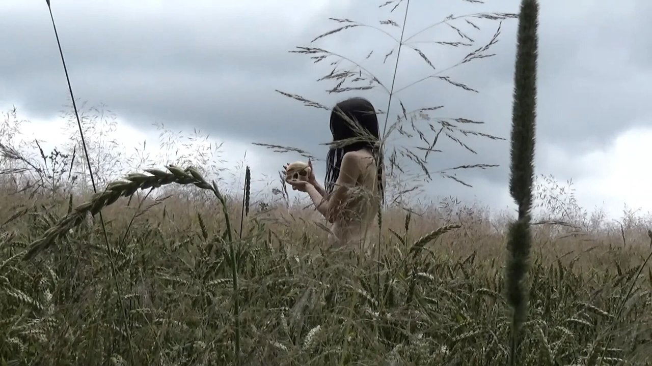 Solitude of the Tormentors backdrop