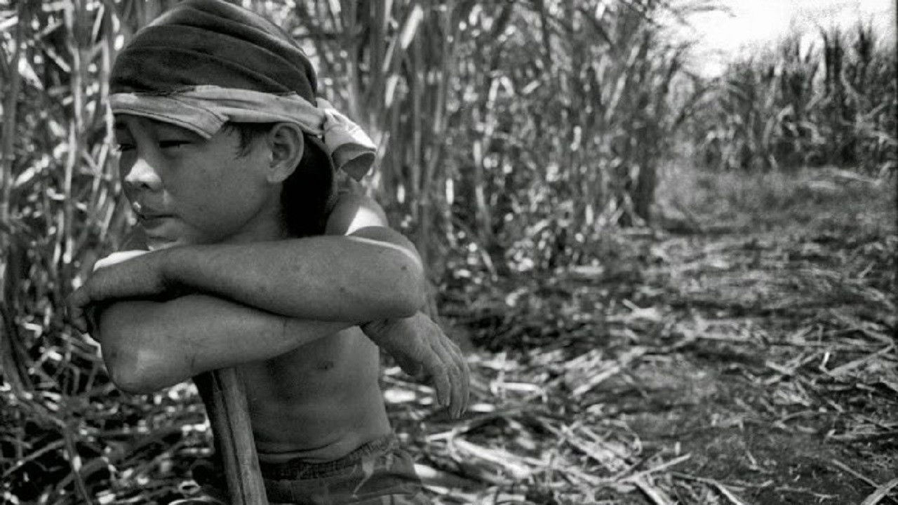 Children Only Once backdrop