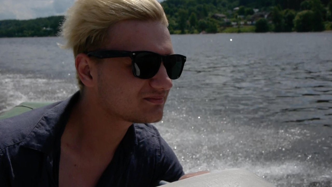 Butterflies backdrop