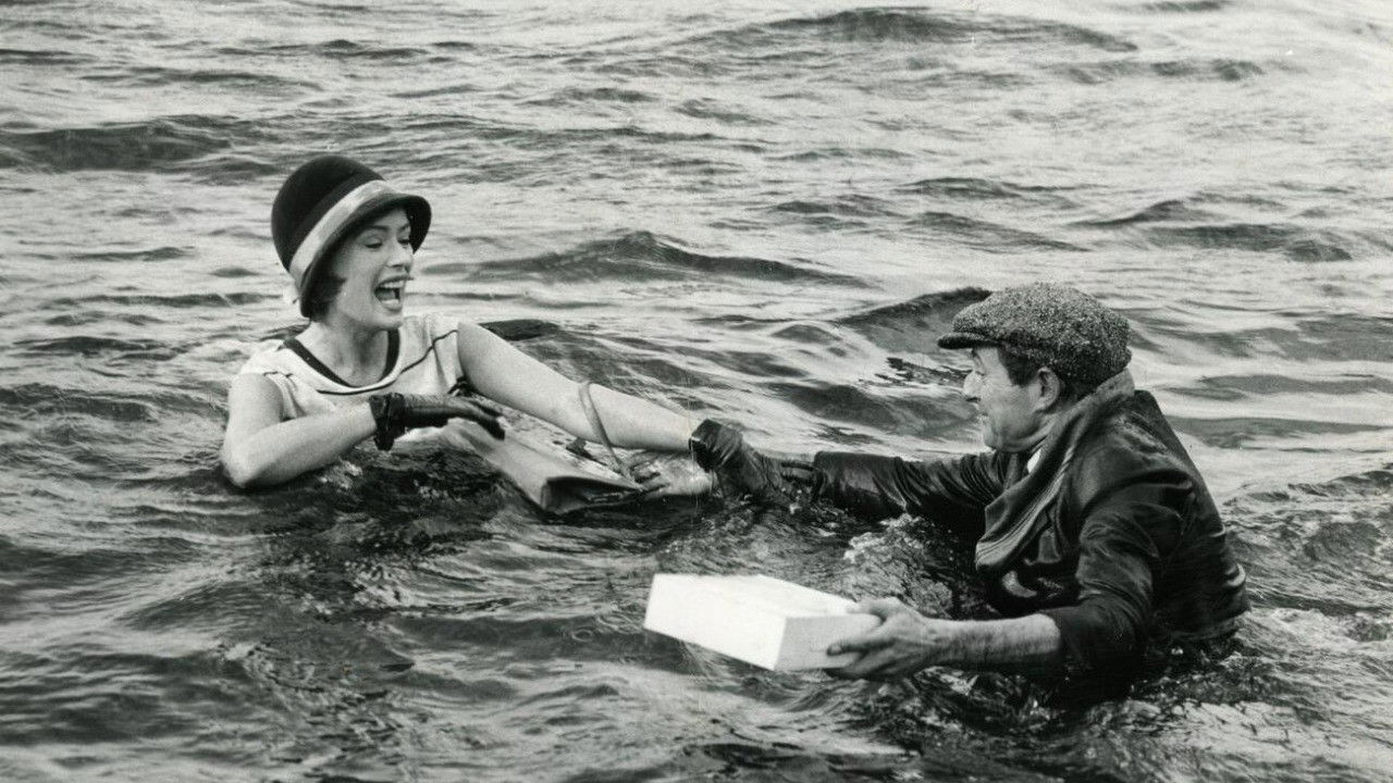 Paradise and Back backdrop