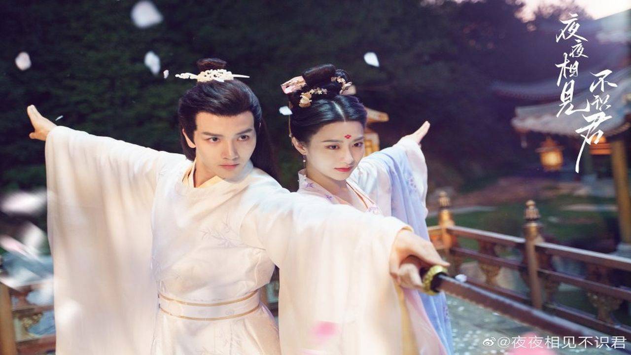 My Decoy Bride backdrop