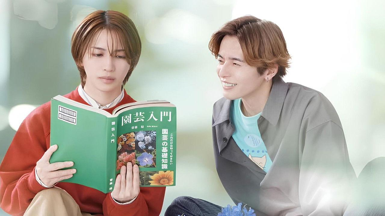 The Proper Way to Write Love backdrop