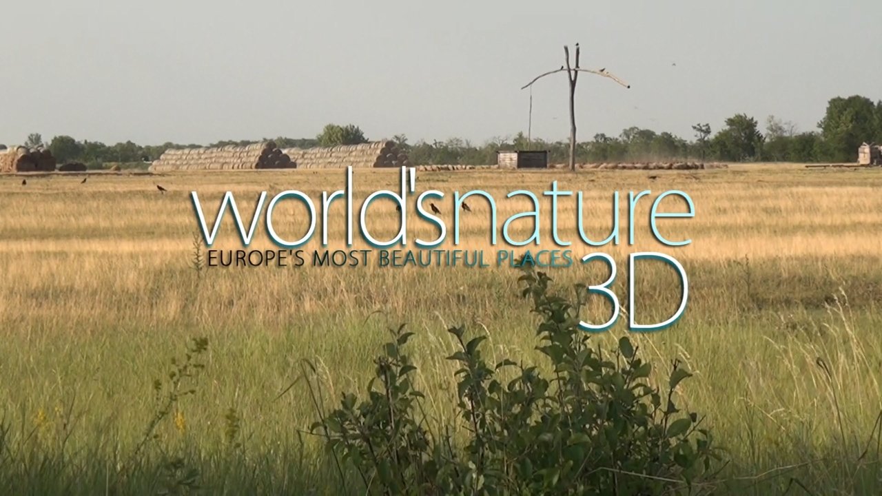World's Nature 3D backdrop