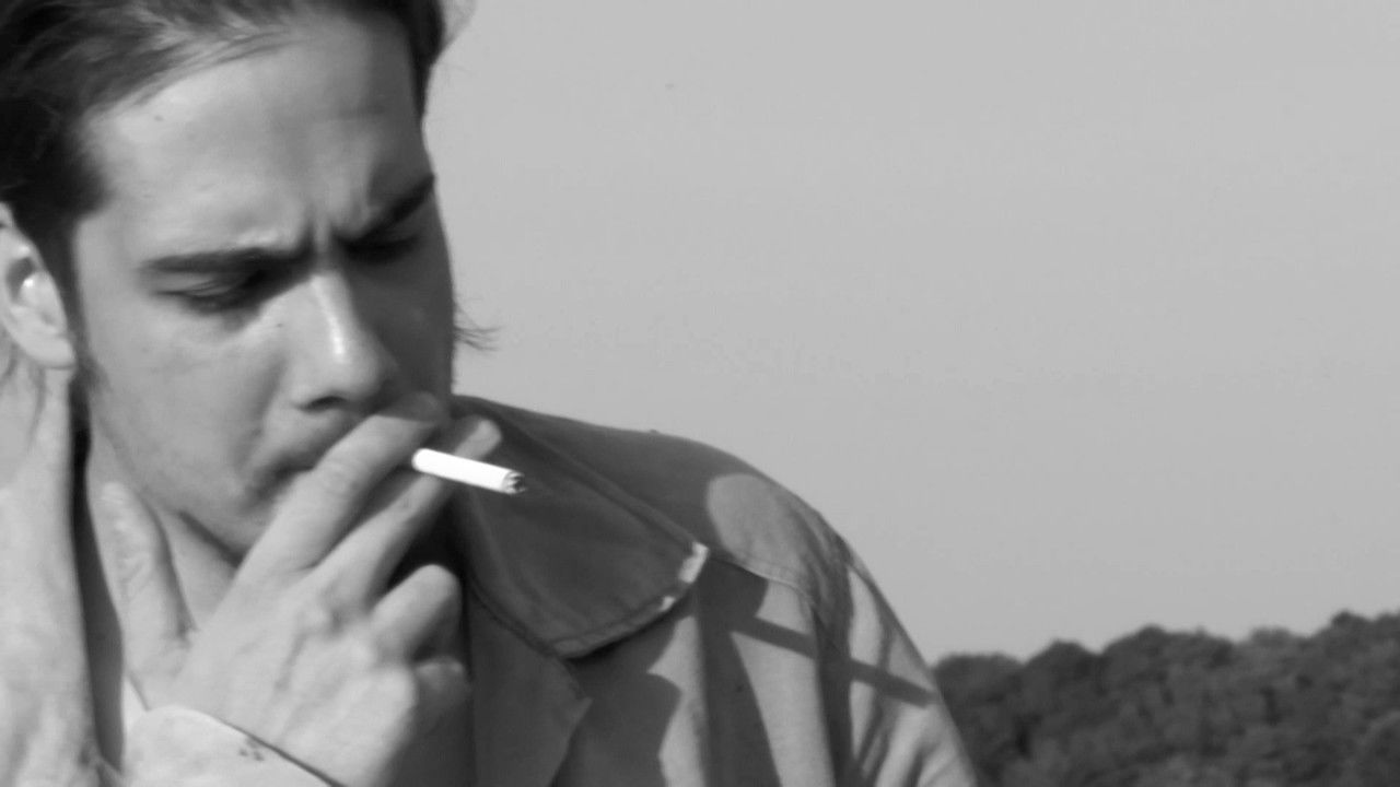 Naming of a Sheep backdrop