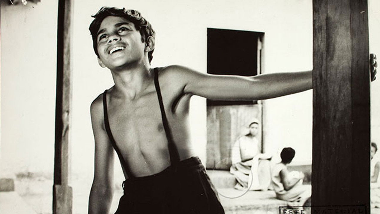 Plantation Boy backdrop