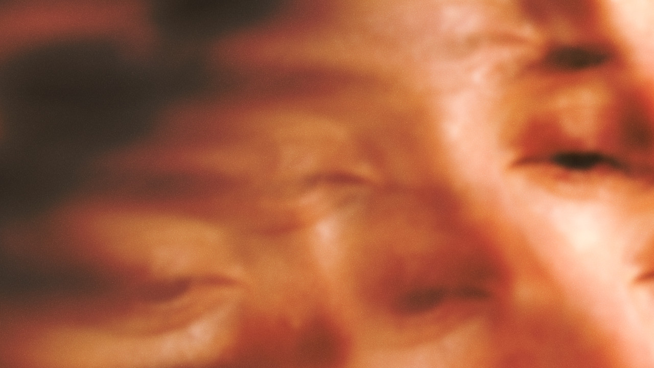 Son of Sauna backdrop