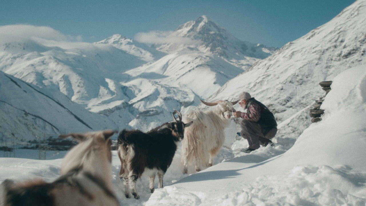 Uncle Vakho's Dream backdrop