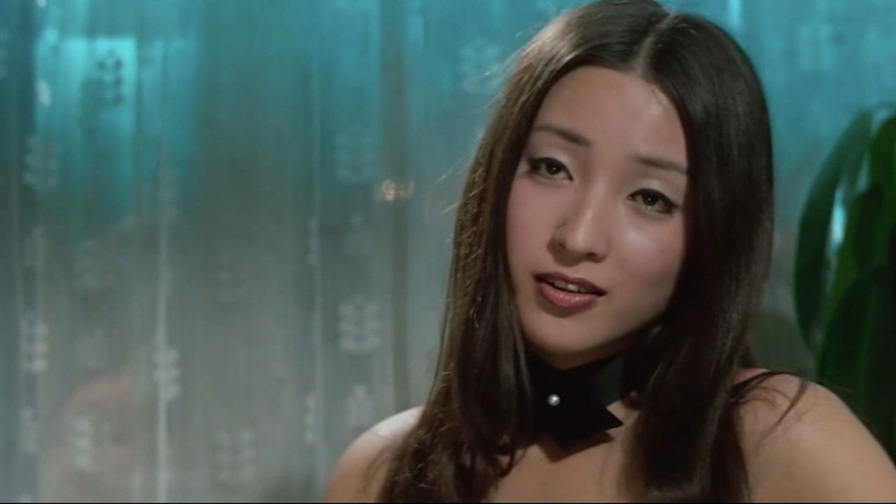 A Woman’s Road backdrop