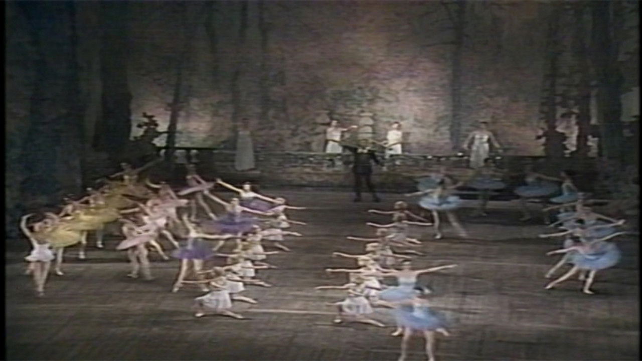 Don Quixote (Kirov Ballet) backdrop