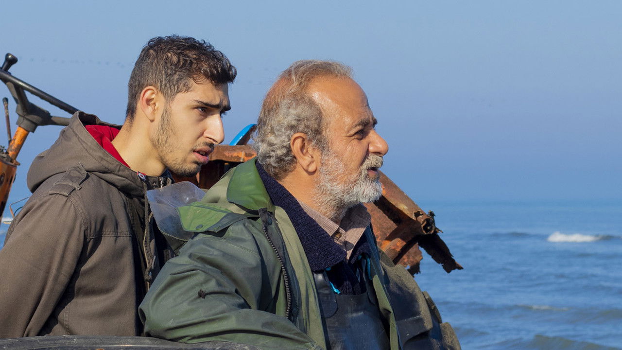 Nobody Asked backdrop