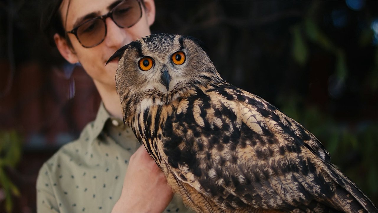 Rite of the Shaman backdrop