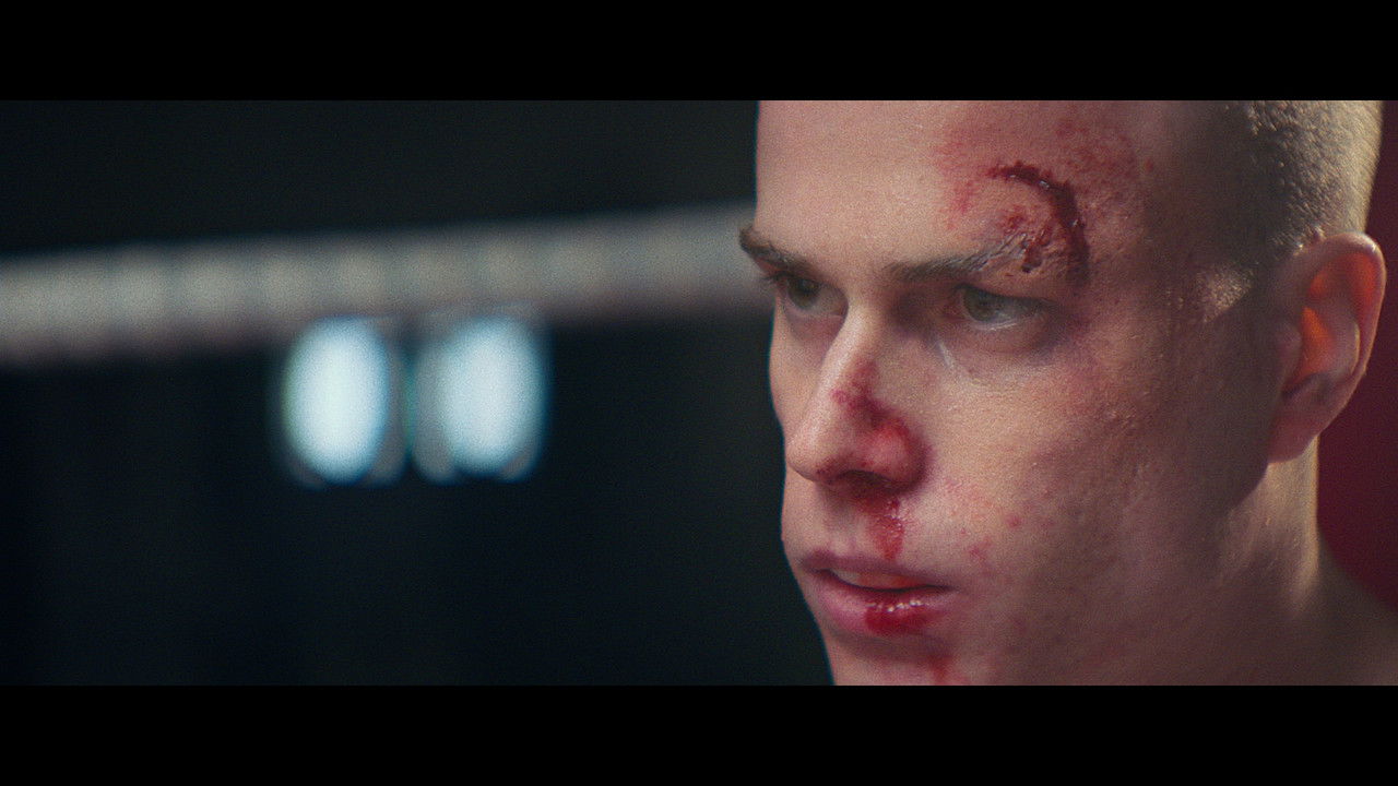 The Scottish Boy backdrop