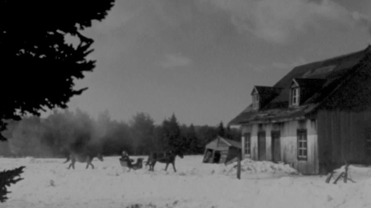 Le gros Bill backdrop