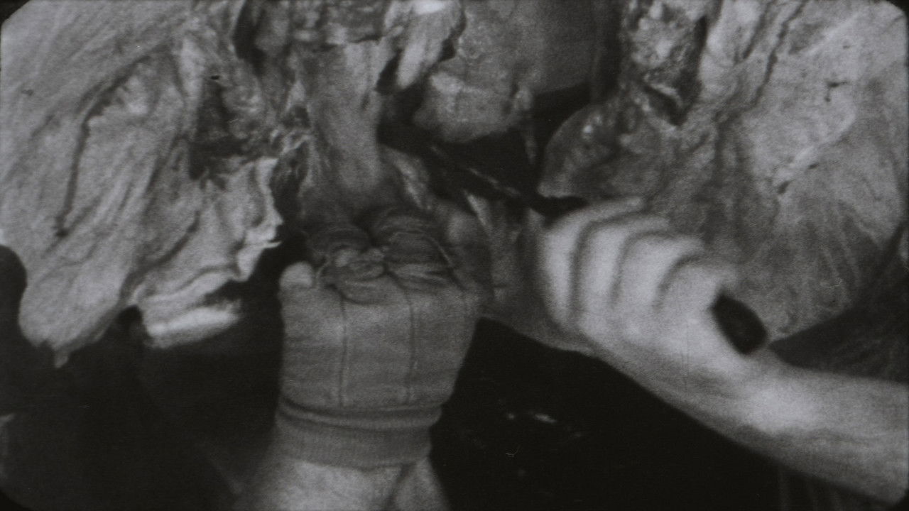 Autumnal Equinox backdrop