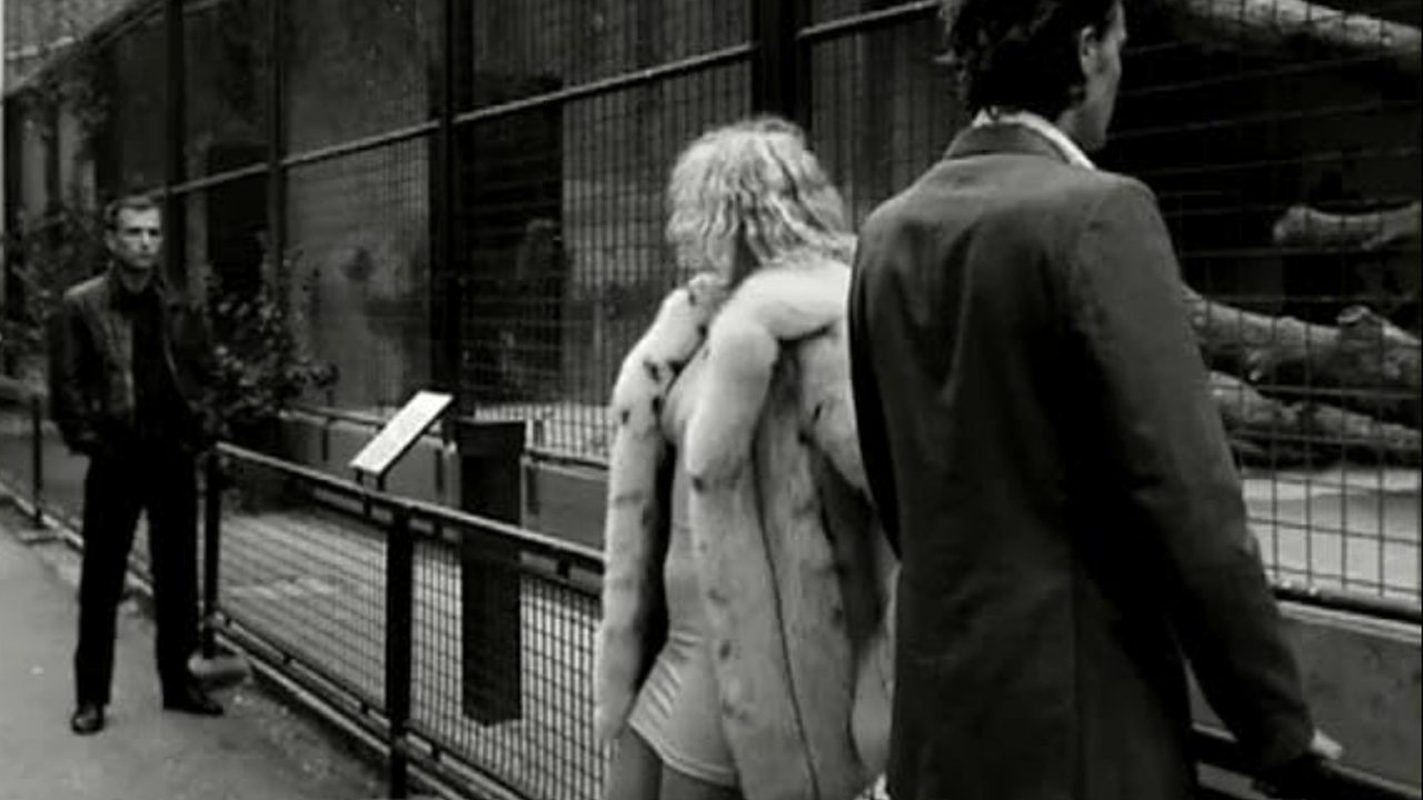 Venus in Furs backdrop