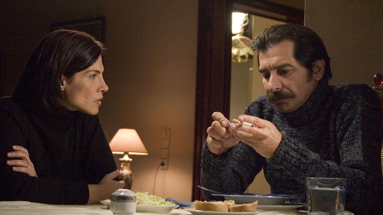 Fog and Night backdrop