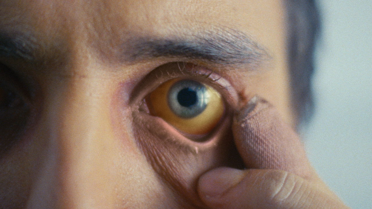 What We Wished We Could Be backdrop