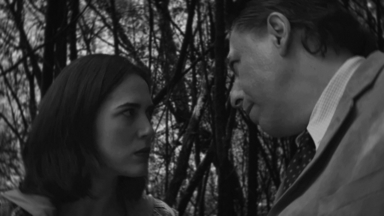 Spells and Magicians Chapter Five: The Miracle of Deforestation backdrop