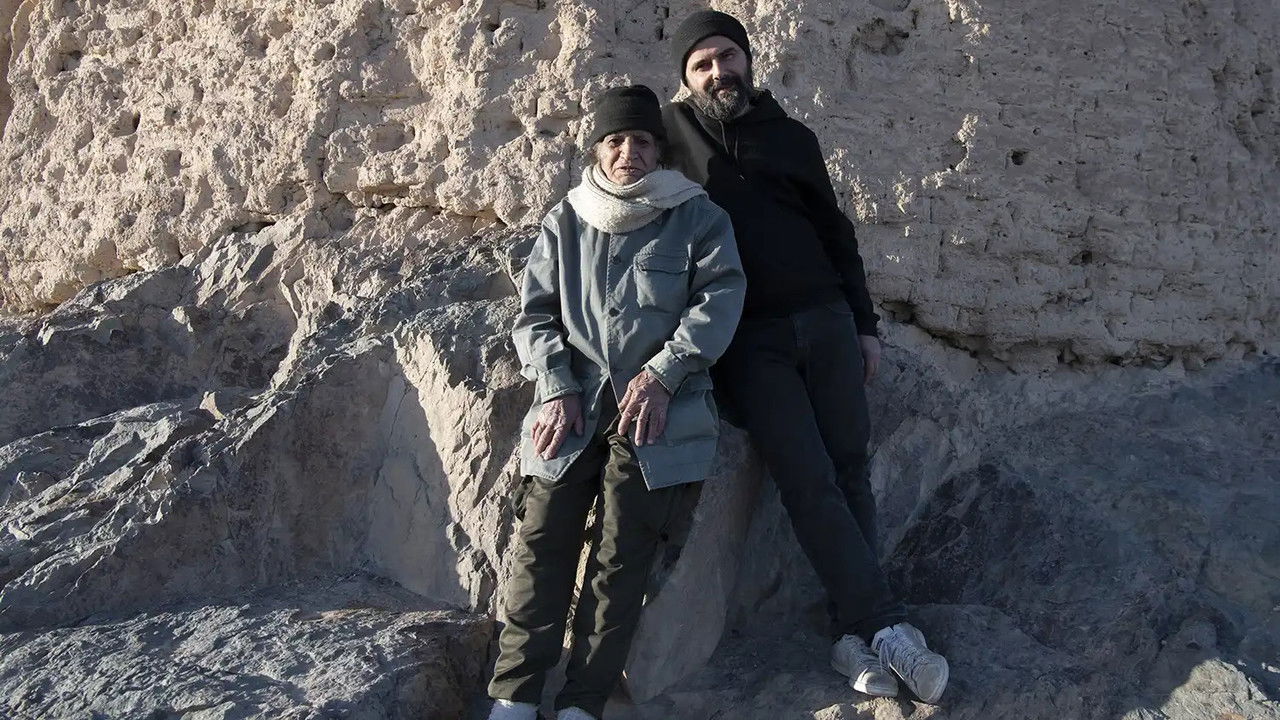 Don Quixote backdrop