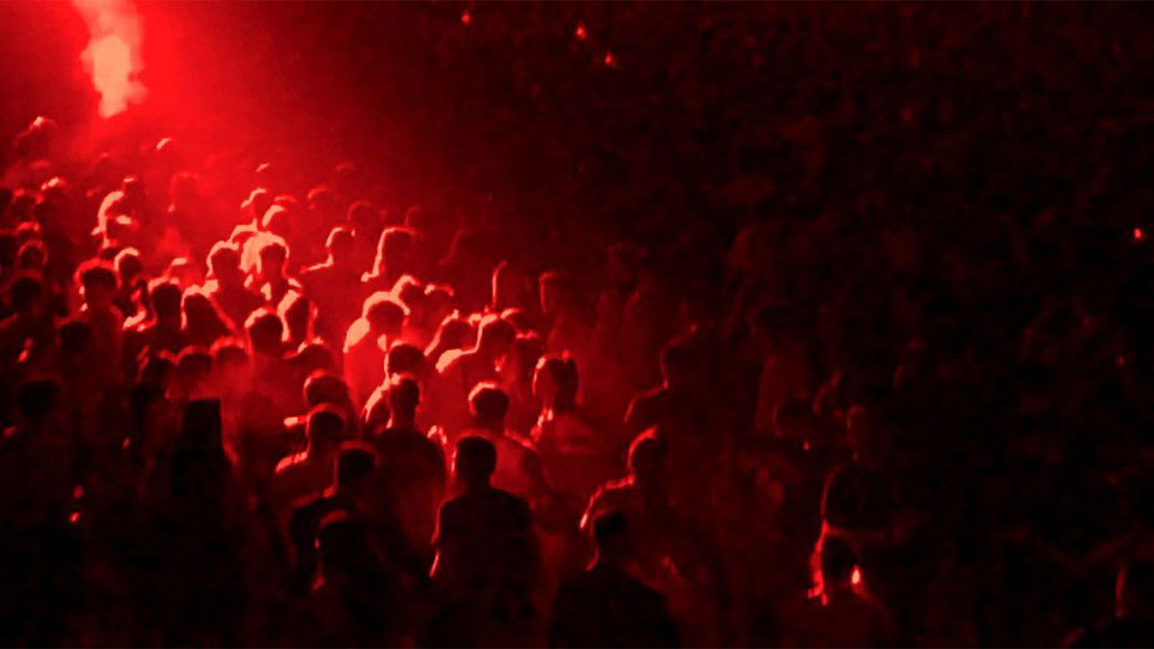 Flurry Flare backdrop