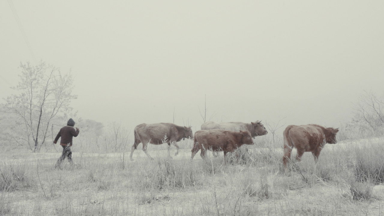 The Broken Ridge backdrop