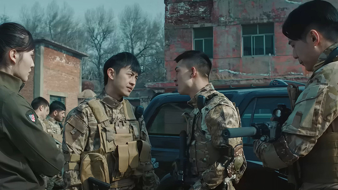 特种保镖2 backdrop