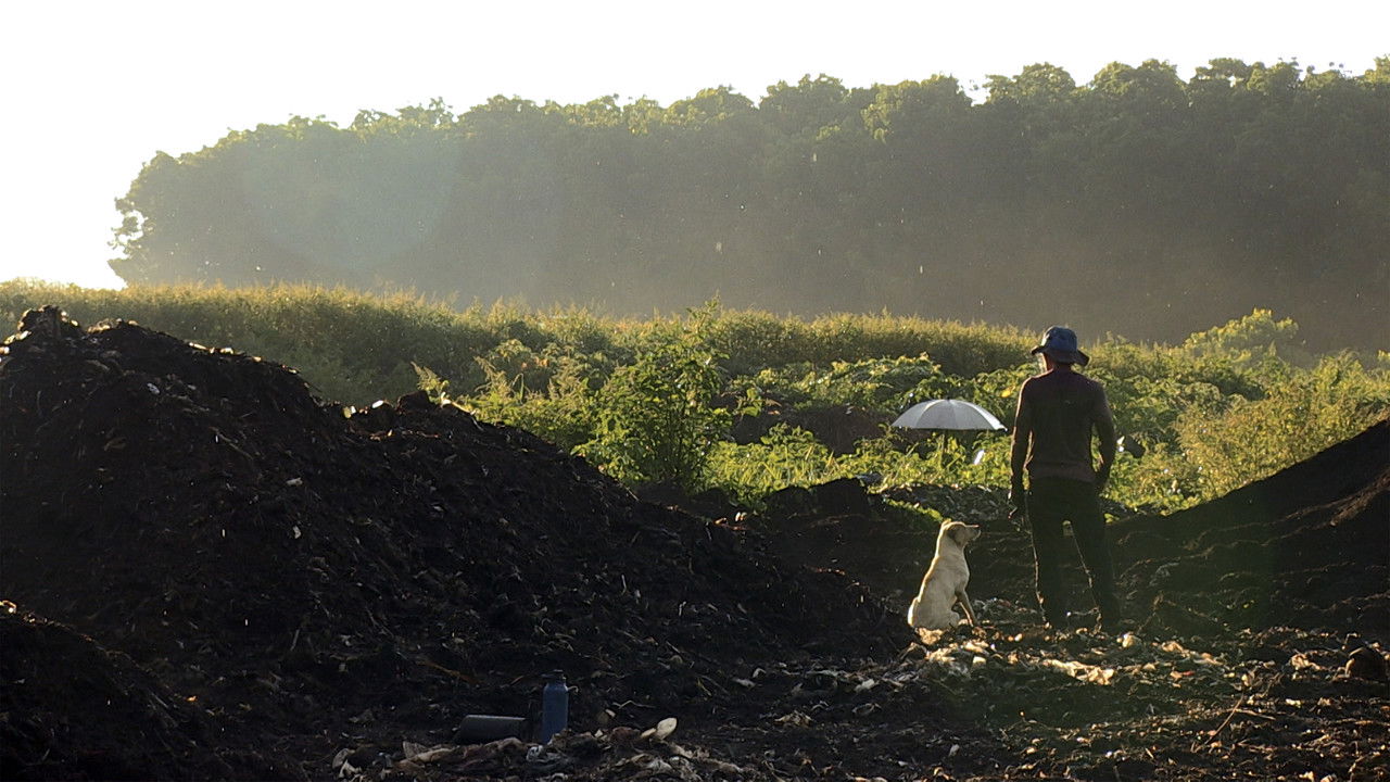 Soul of Soil backdrop