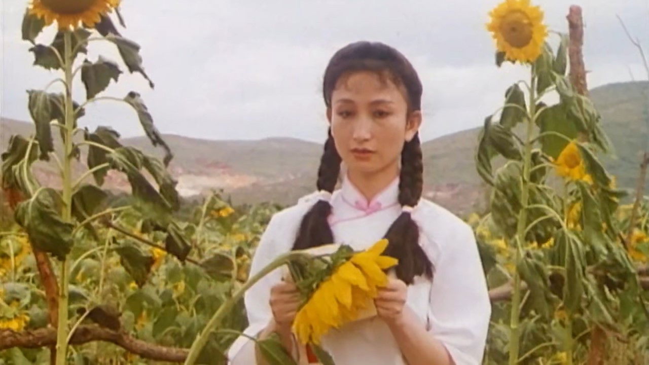 Qíngrén de xuè tèbié hóng backdrop