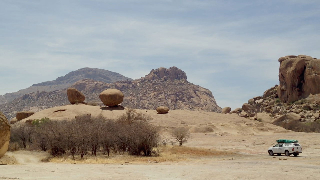 Das nomadische Gen backdrop