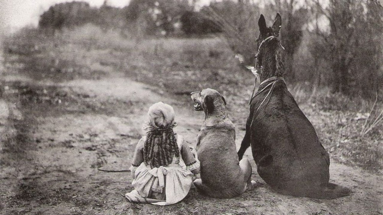 Through the Back Door backdrop