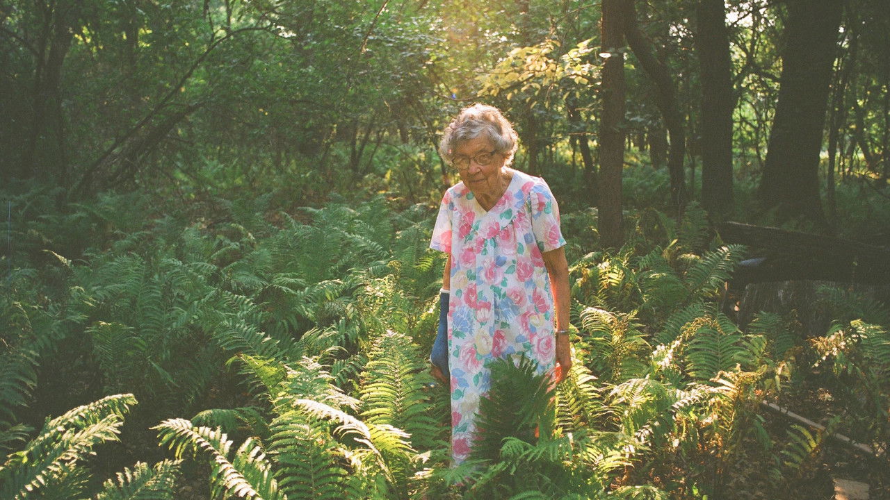 Agatha’s Almanac backdrop