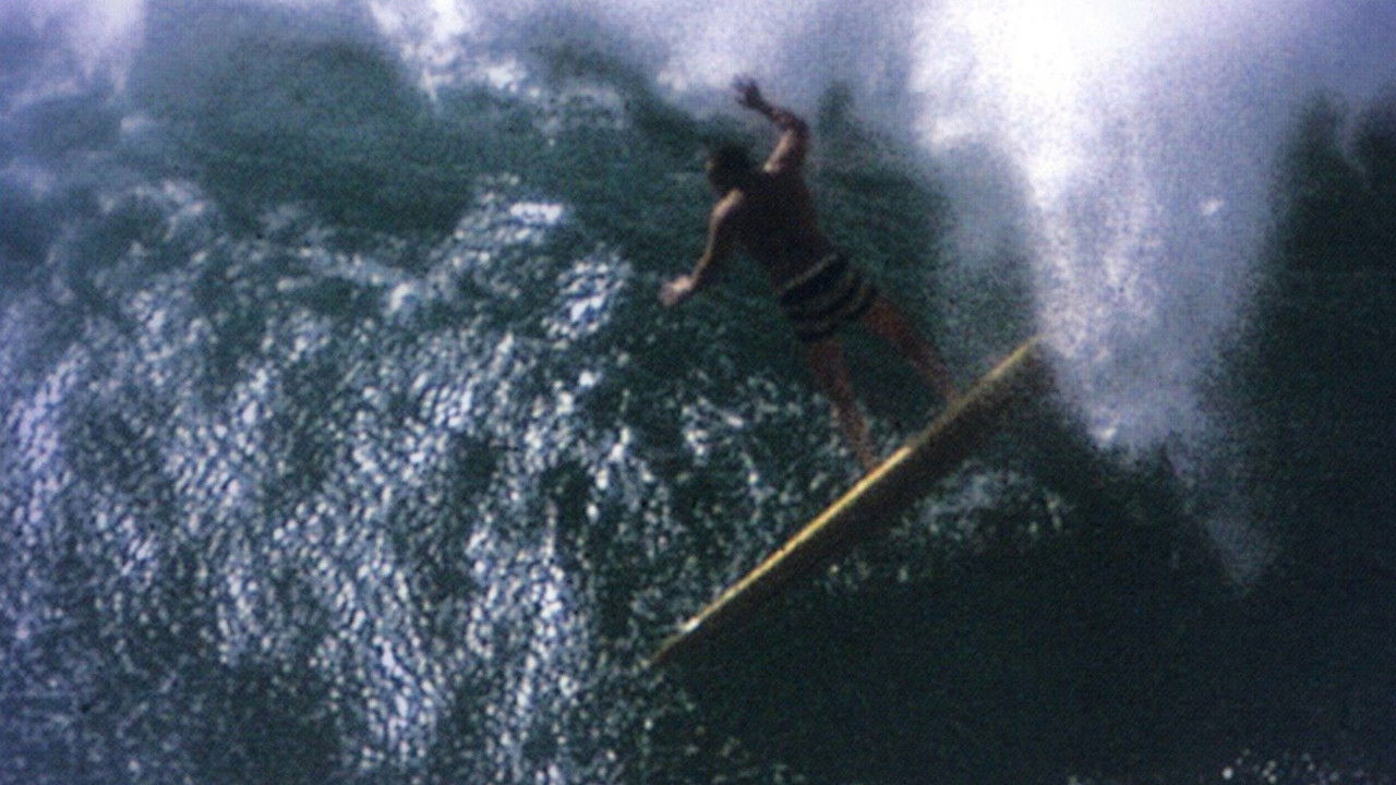 Water-Logged backdrop