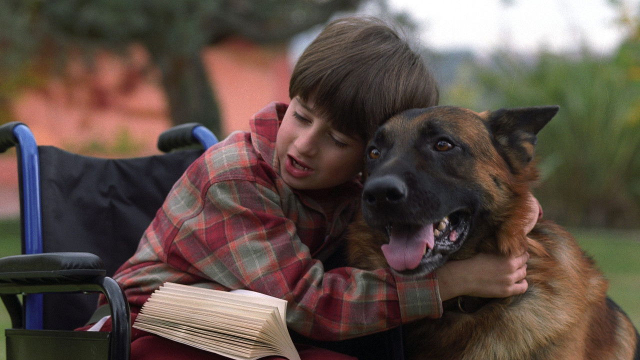 Il destino ha 4 zampe backdrop